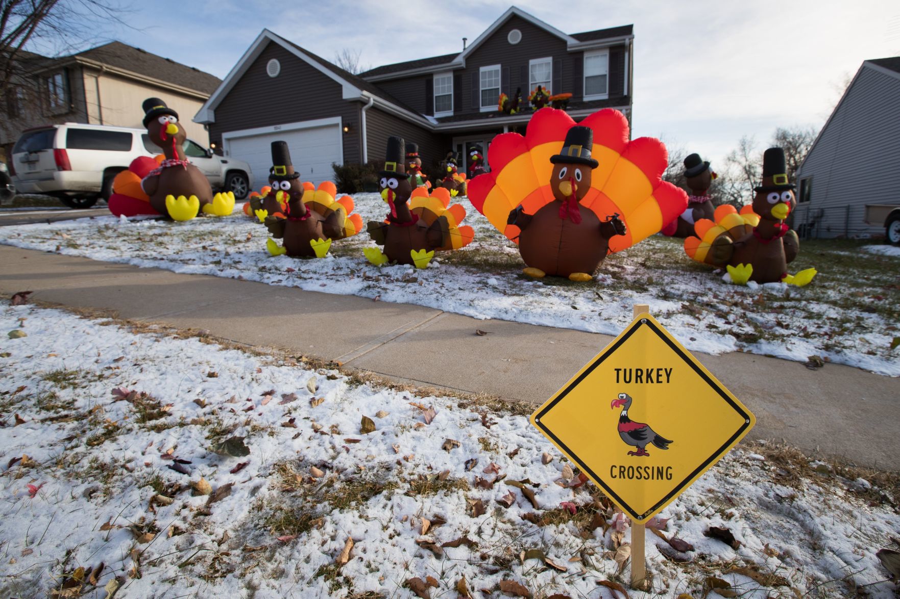 Turkey wars